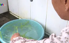 51% người dân nông thôn có nước sạch đạt chuẩn Bộ Y tế