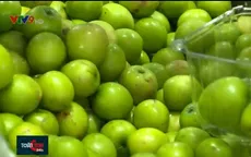 Sản phẩm đặc thù: Lợi thế từ nông nghiệp sa mạc