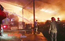 Cháy công ty gỗ tại Bình Phước gây thiệt hại khoảng 2,5 tỷ đồng