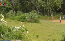 Vì sao dự án tự phân lô bán nền nở rộ tại ngoại thành Hà Nội?