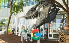 Google Dịch đã hỗ trợ dịch tiếng Việt qua camera điện thoại