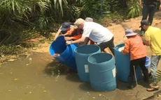 TP.HCM thả cá bảo vệ môi trường, tái tạo thủy sản