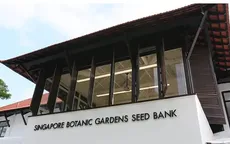 Singapore thành lập ngân hàng hạt giống