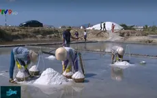 Nguy cơ bỏ hoang ruộng muối giữa mùa nắng