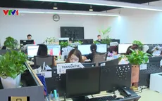 Trải nghiệm sống xanh với những kỹ sư công nghệ thông tin