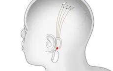 Thử nghiệm công nghệ số hóa não người
