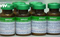 Tỷ lệ sử dụng thuốc trong nước sản xuất tăng đều ở các tuyến