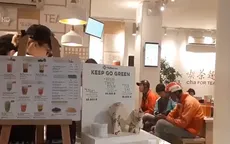 Kinh doanh trà sữa đã hết thời ngọt ngào?