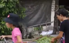 Cặp lá yêu thương: Gánh rau của bà