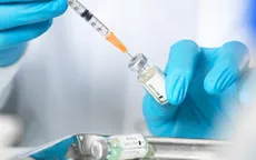 Bước đầu thành công trong nghiên cứu vaccine phòng chống dịch tả lợn châu Phi