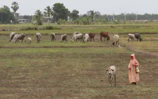 Thái Lan huy động quân đội hỗ trợ dân bị hạn hán