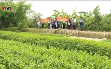 Bán đất khi dự án dừng triển khai