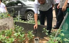 Hà Nội: Xử lý hơn 200.000 ổ bộ gậy