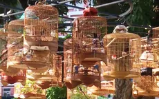 Trải nghiệm góc cà phê chim ở công viên Tao Đàn, TP.HCM