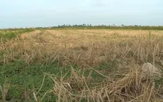 Tập trung ứng phó nắng nóng kéo dài, hạn hán tại Trung Bộ