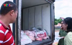 Bắt vụ vận chuyển sản phẩm động vật không rõ nguồn gốc