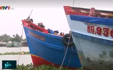 Thiếu hụt nguyên liệu, nhiều nhà máy hải sản đứng trước nguy cơ đóng cửa
