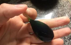 Thận trọng khi sử dụng mật động vật