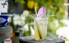 Trà mót Hội An: Xua tan ngày hè nóng nực