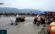 Vui nhộn chạy trong bùn mừng lễ hội lúa gạo