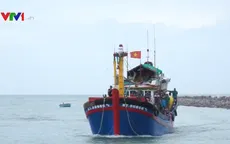 Tìm thấy thi thể 4 ngư dân bị chìm tàu ở Hòn Cau