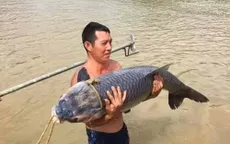 Cá trắm “khủng” dài 1,2m hồ Thác Bà dính lưới ngư dân