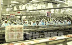 Anh trả lại 1.400 tấn gia cầm cho Brazil do nhiễm khuẩn salmonella