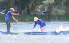 Giá cá tra giống xuống thấp khiến người nuôi thua lỗ