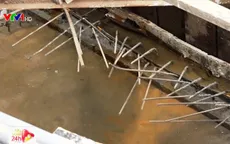 TP.HCM: Hàng loạt công trình bị xử phạt vì để đọng nước chứa lăng quăng