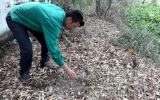 Mẫu vật chôn trong nhà máy rác thải Cà Mau là xương thai nhi