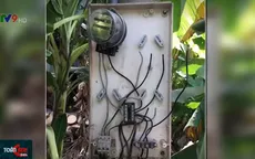 Hàng loạt đồng hồ điện bị mất trộm trong đêm khuya