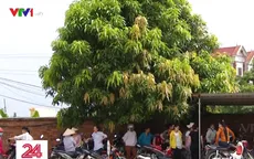 Giám đốc DN tại Bắc Giang bỏ trốn, hàng trăm công nhân lao đao