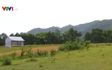 Nở rộ dự án tự phân lô bán nền tại ngoại thành Hà Nội