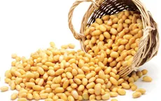 Giá đậu tương và các sản phẩm từ đậu tương đồng loạt giảm