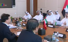 Đẩy mạnh khai thác tiềm năng hợp tác Việt Nam - UAE