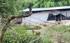 Chiêu thức bán hàng của các dự án tự phân lô bán nền