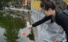 Lý giải nghi thức phóng sinh vào Rằm tháng 7 Âm lịch