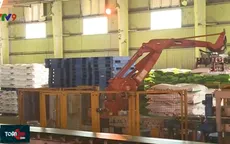 Đầu tư công nghệ - Yêu cầu cấp bách của ngành phân bón Việt