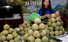 Ngày hội na Chi Lăng lần thứ ba năm 2019