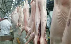 Đầu tư sản phẩm thay thế khi thiếu hụt nguồn cung thịt heo