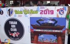 Lễ hội cá Koi tại Indonesia