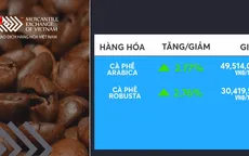 Giá cà phê trong nước tăng sau nhiều ngày giảm liên tiếp