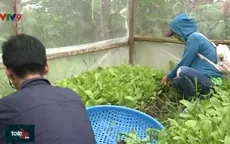 Hiệu quả dự án nâng cao chất lượng sống và chăm sóc sức khỏe vùng ĐBSCL