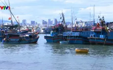 Khoảng 1.000 tàu cá được phép cải hoán sang khai thác vùng khơi