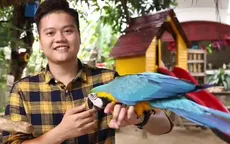 "Bộ sưu tập" chim vẹt hơn nửa tỷ đồng của chàng trai TP.HCM