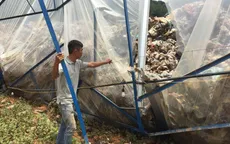 Đà Lạt: Vườn của dân biến thành nơi chứa rác sau lũ