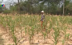 Thái Lan triển khai chiến dịch mưa nhân tạo chống hạn