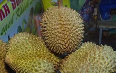 Khai mạc lễ hội trái cây huyện Khánh Sơn, Khánh Hoà