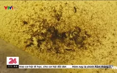 Hà Nam: Người dân loay hoay tìm nguồn nước sạch