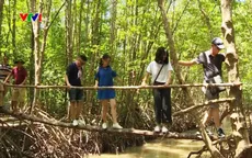 Khám phá rừng đước Năm Căn, Cà Mau